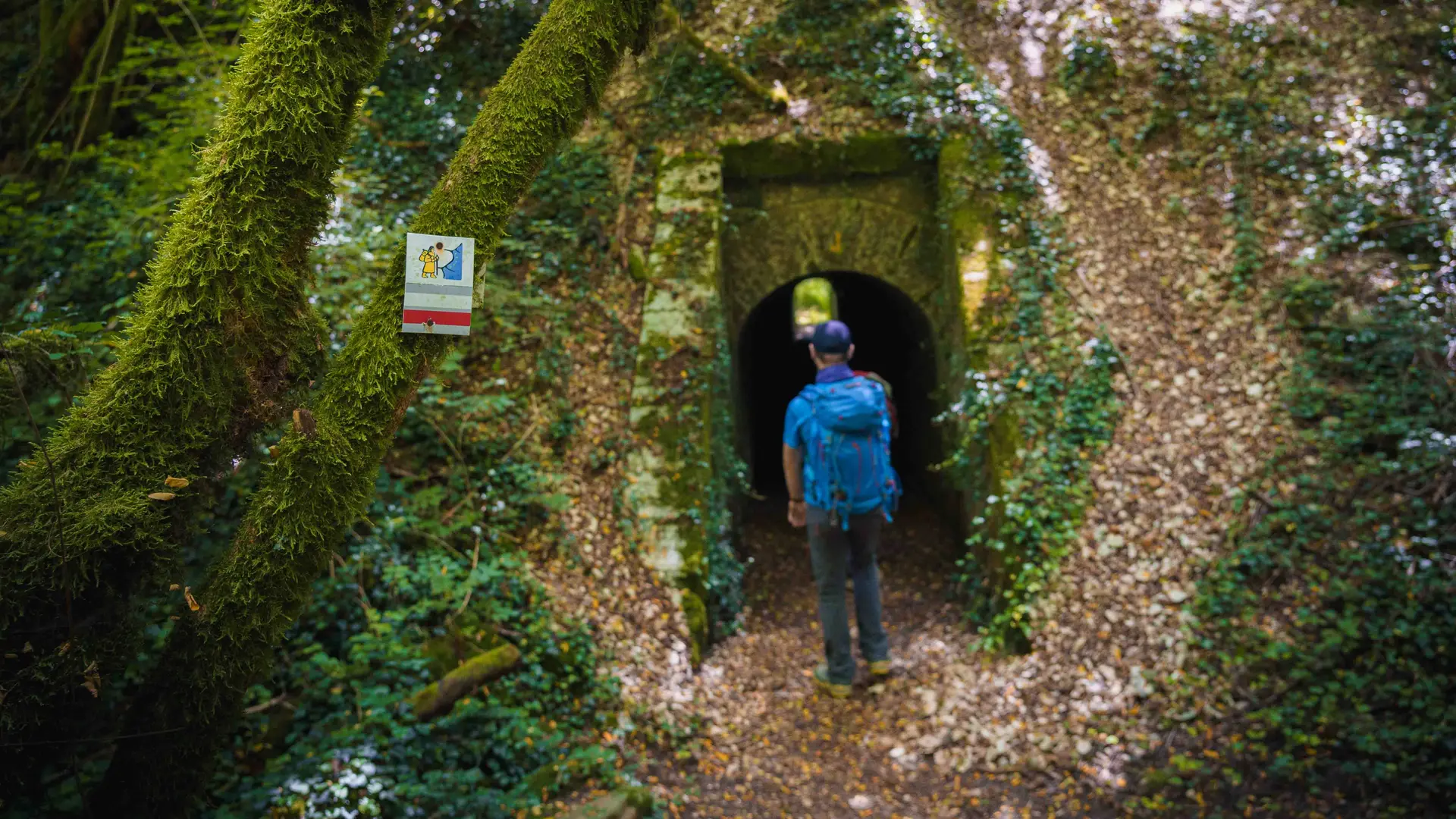 VVS-OT4R-VIAFRANCIGENA-LQ-6