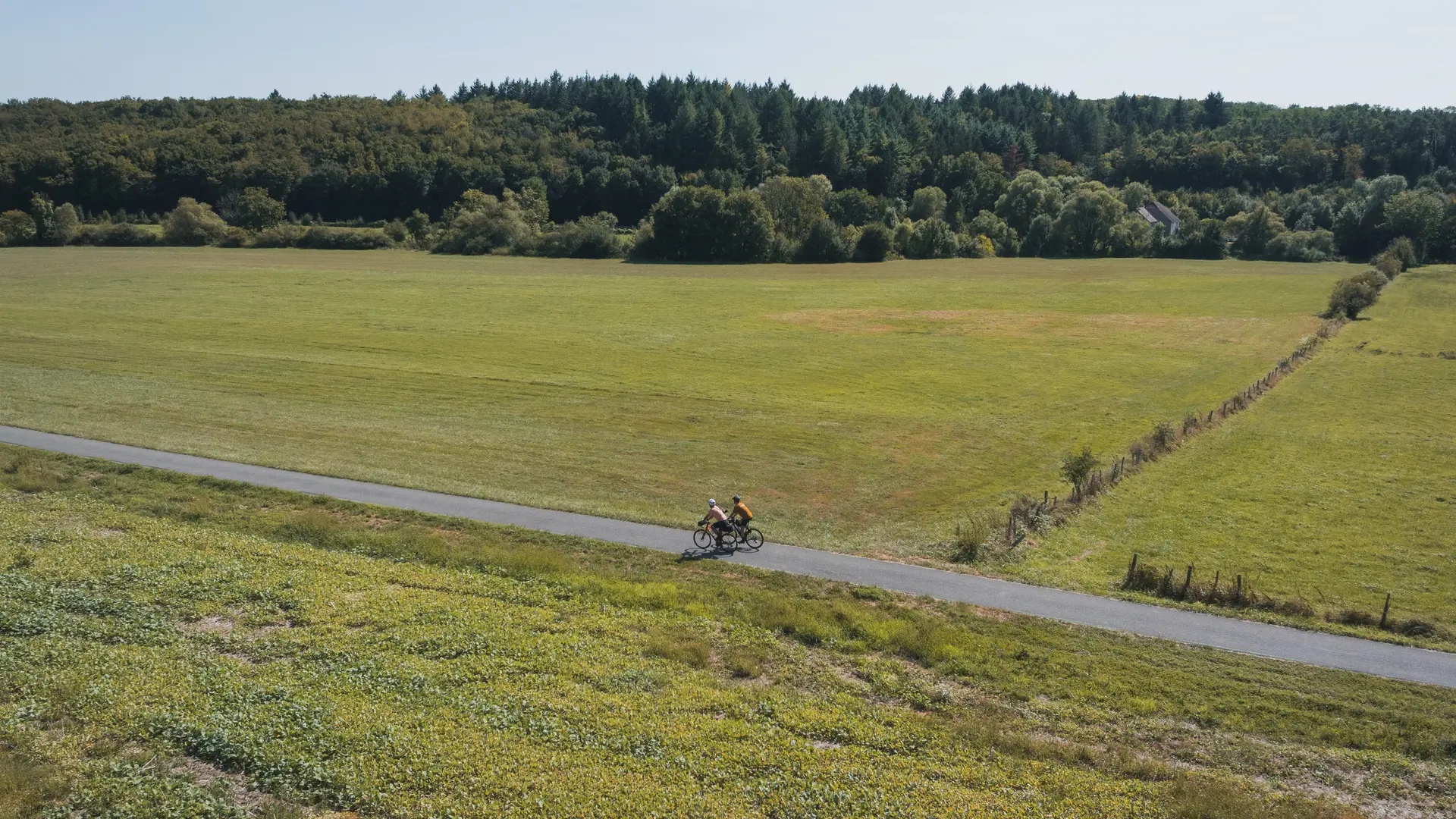 VVS-TRANSVERSAL-TraceduCourlis-HQ-6