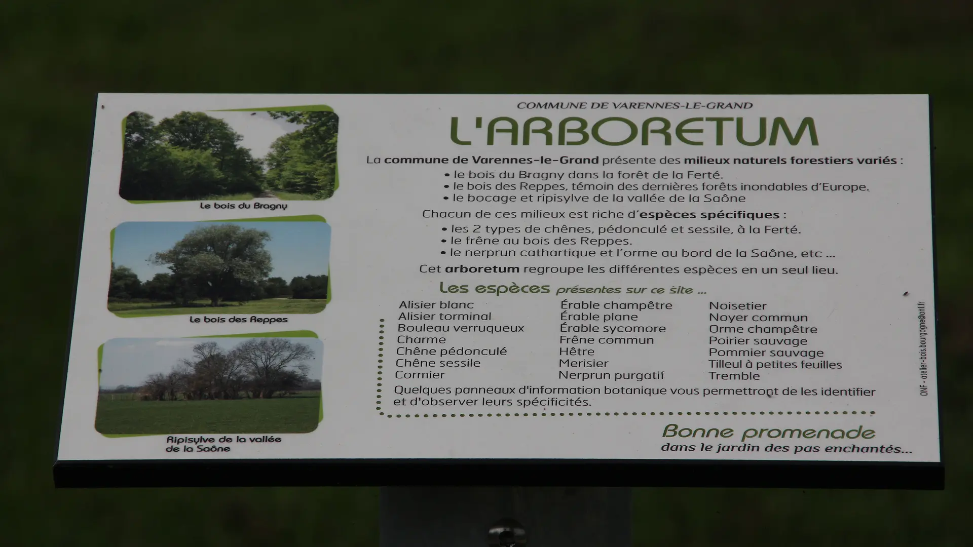 Varennes le Grand - Jardin des Pas Enchantés - 2013 ( (11)