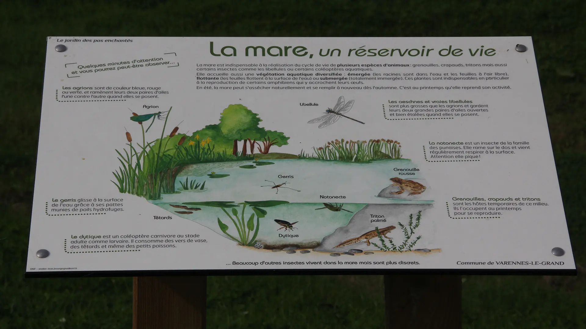 Varennes le Grand - Jardin des Pas Enchantés - 2013 ( (2)