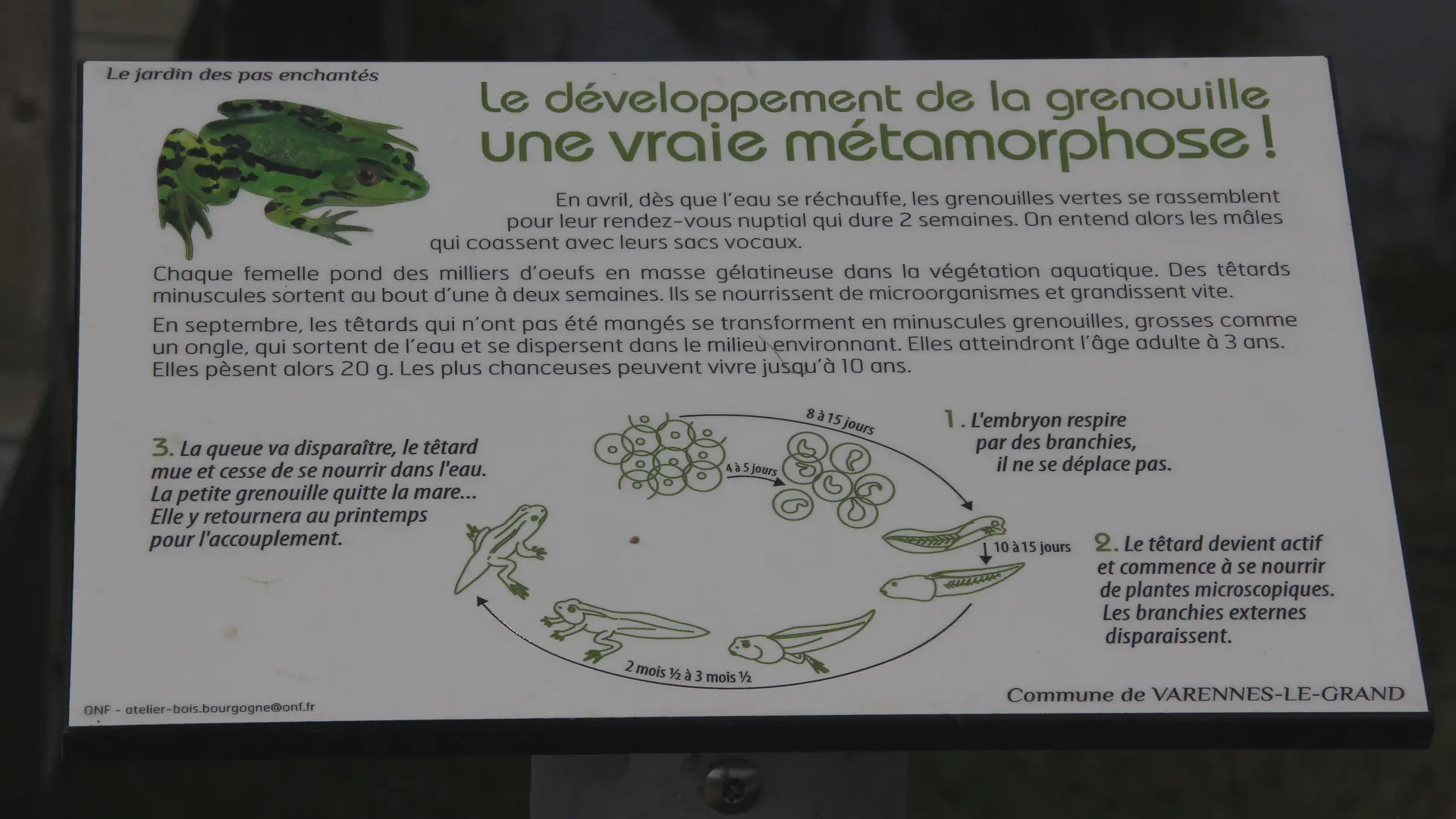 Varennes le Grand - Jardin des Pas Enchantés - 2013 ( (3)
