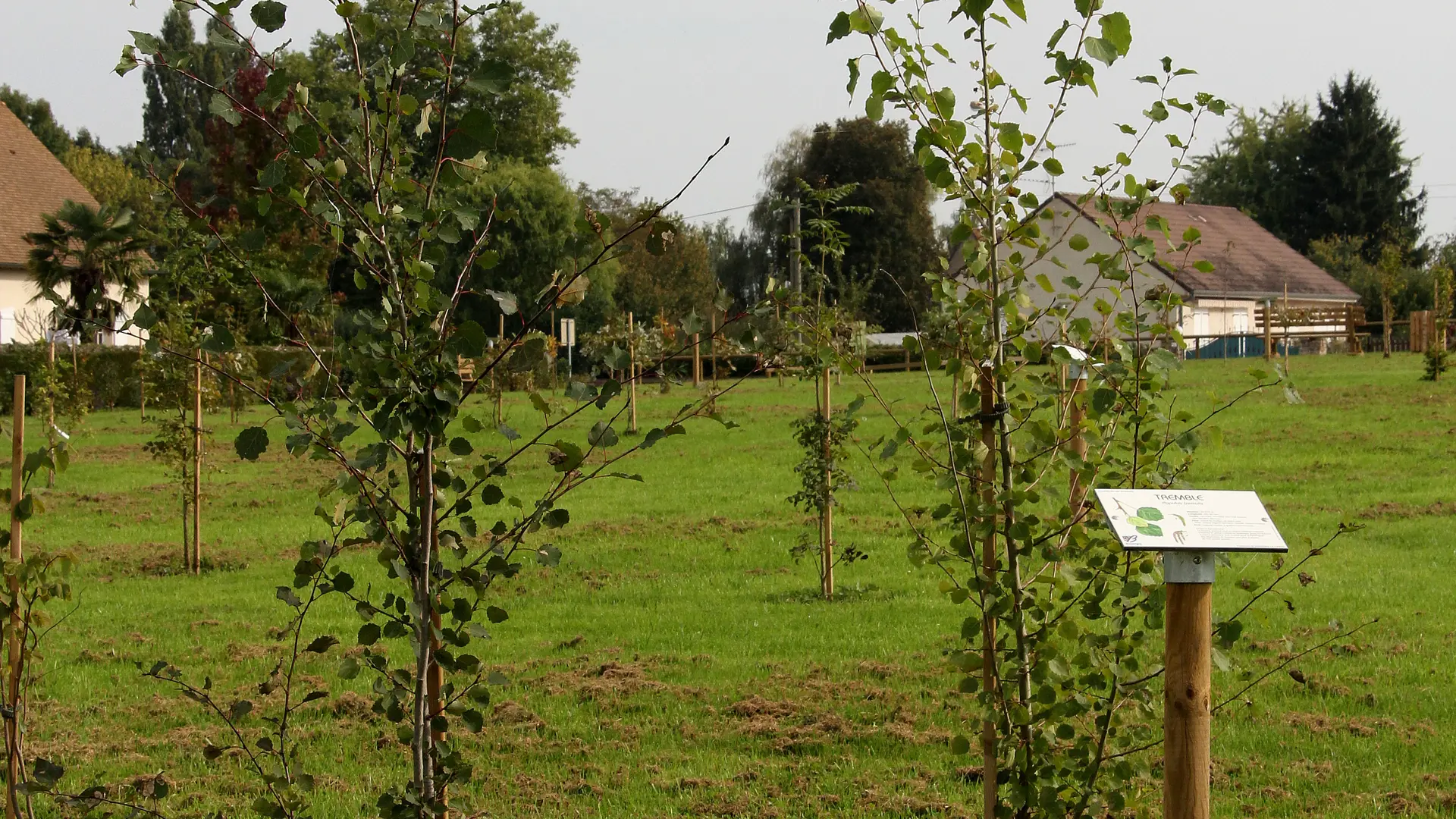 Varennes le Grand - Jardin des Pas Enchantés - 2013 (