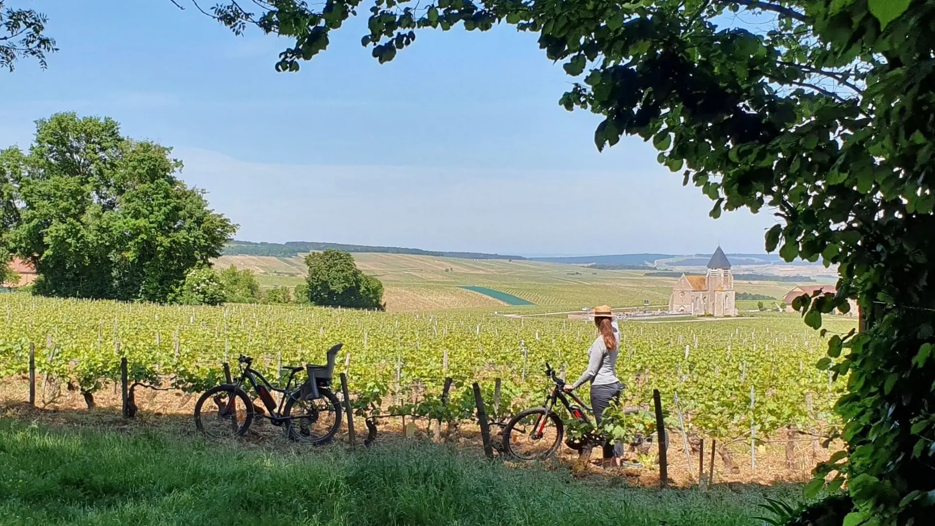 Vélo vignes panorama