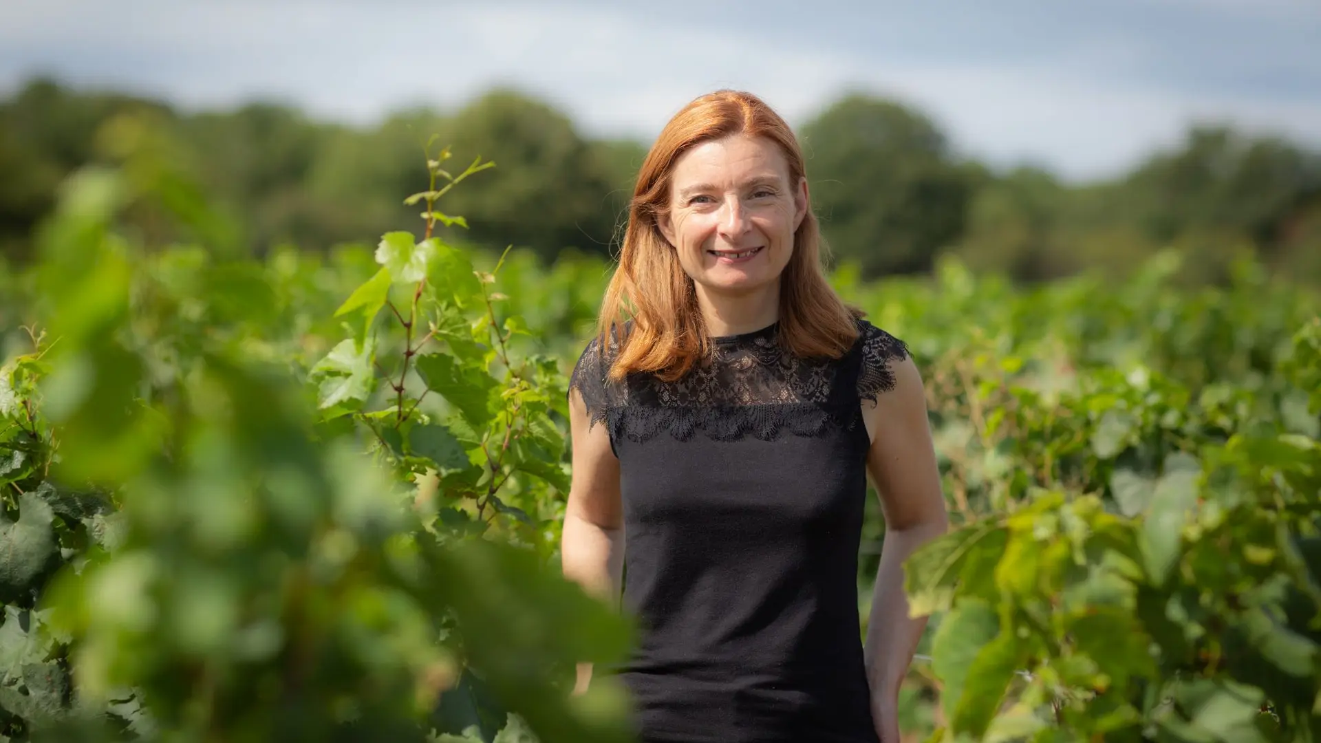 Vittault Alberti Rully 1