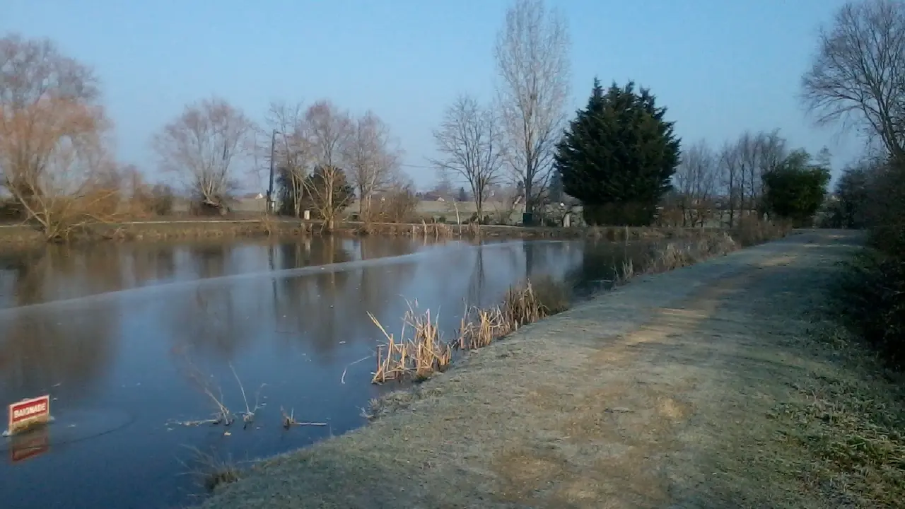 Virey le Grand - Etang du Gravalou - 2017 (2)