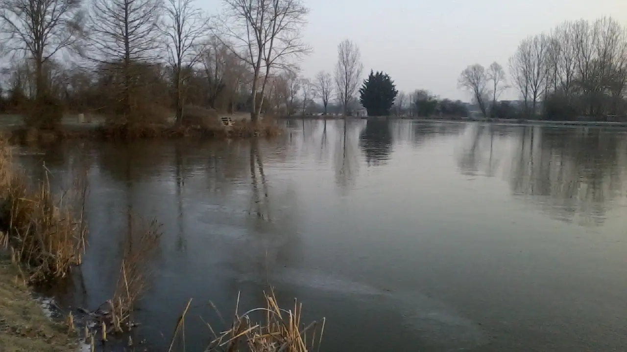 Virey le Grand - Etang du Gravalou - 2017 (3)