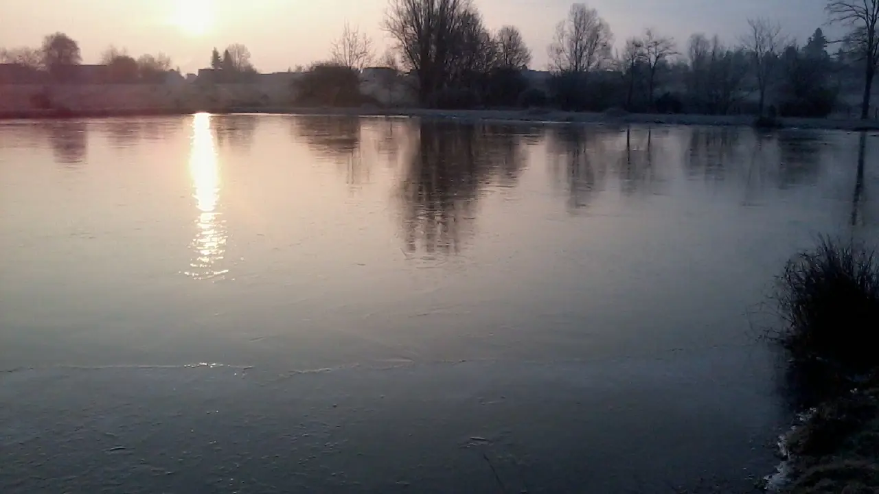 Virey le Grand - Etang du Gravalou - 2017 (4)