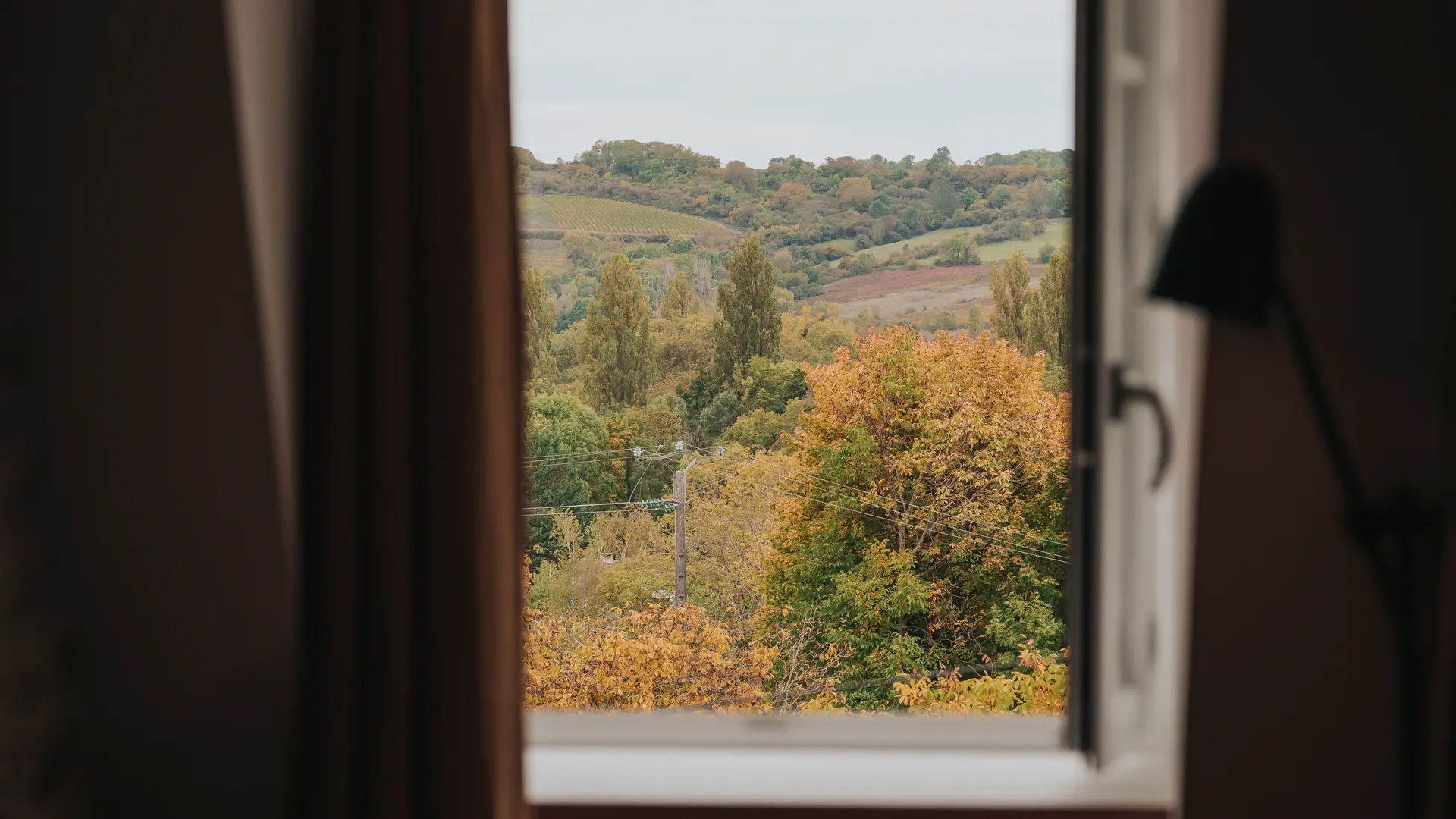 Vue sur les vignes - Les Petits Noizons