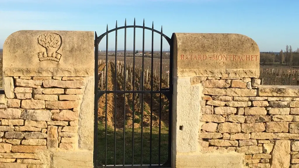 Le meilleur vin blanc du monde ?