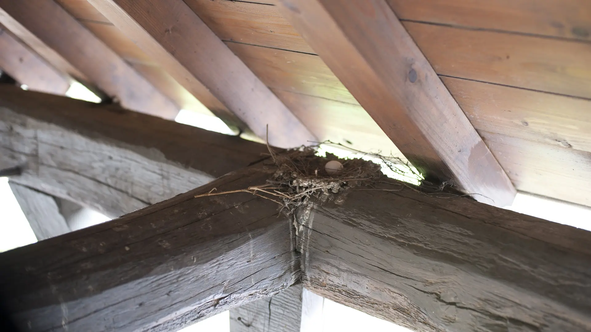 cour-interieure-hotel-wilson-dijon-nid