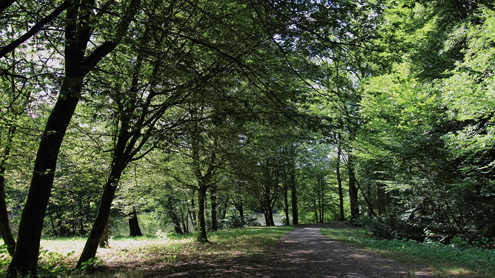 cd9bf5cf14ce55f2e4125c15a74f3a67-DPP-00083-1600x0