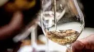 chardonnay à l'aveugle