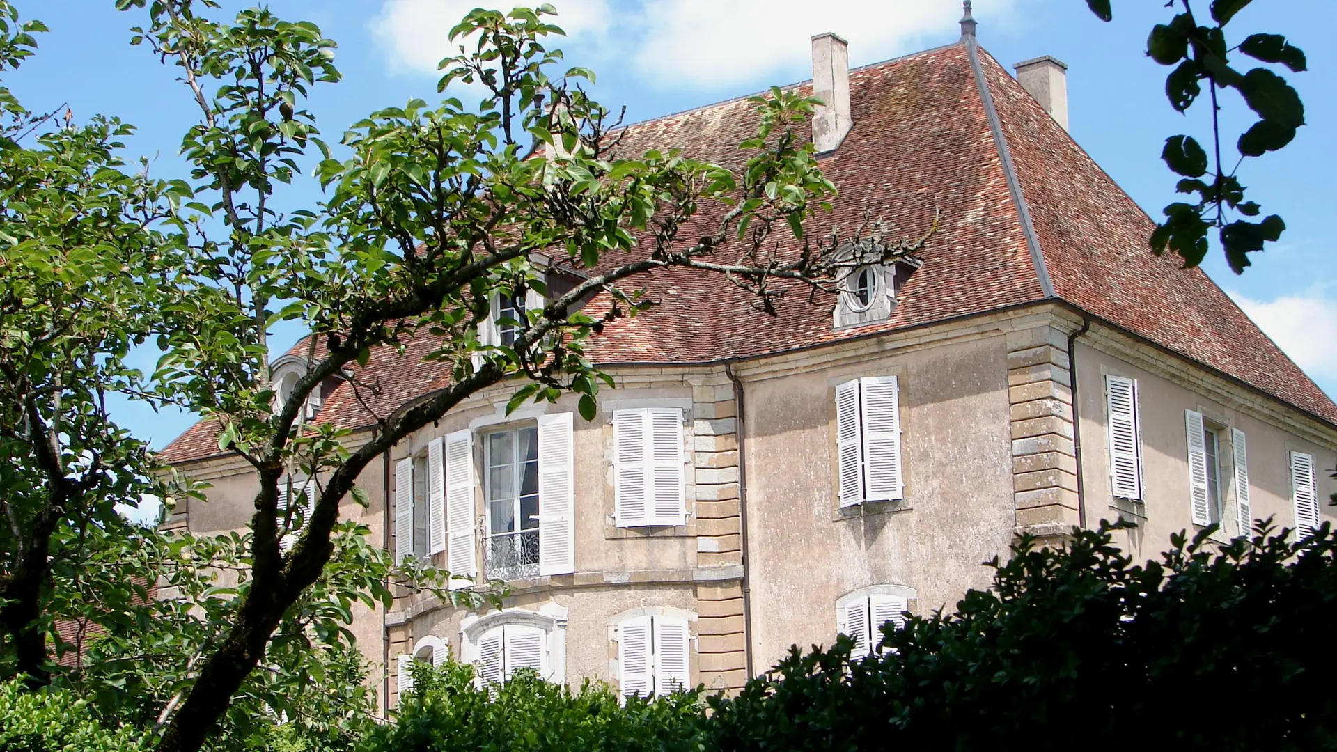 Château de Pin_2