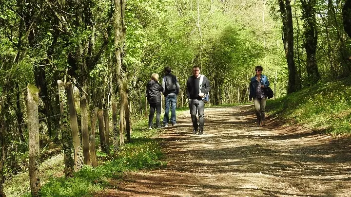 Cita chemin de randonnée