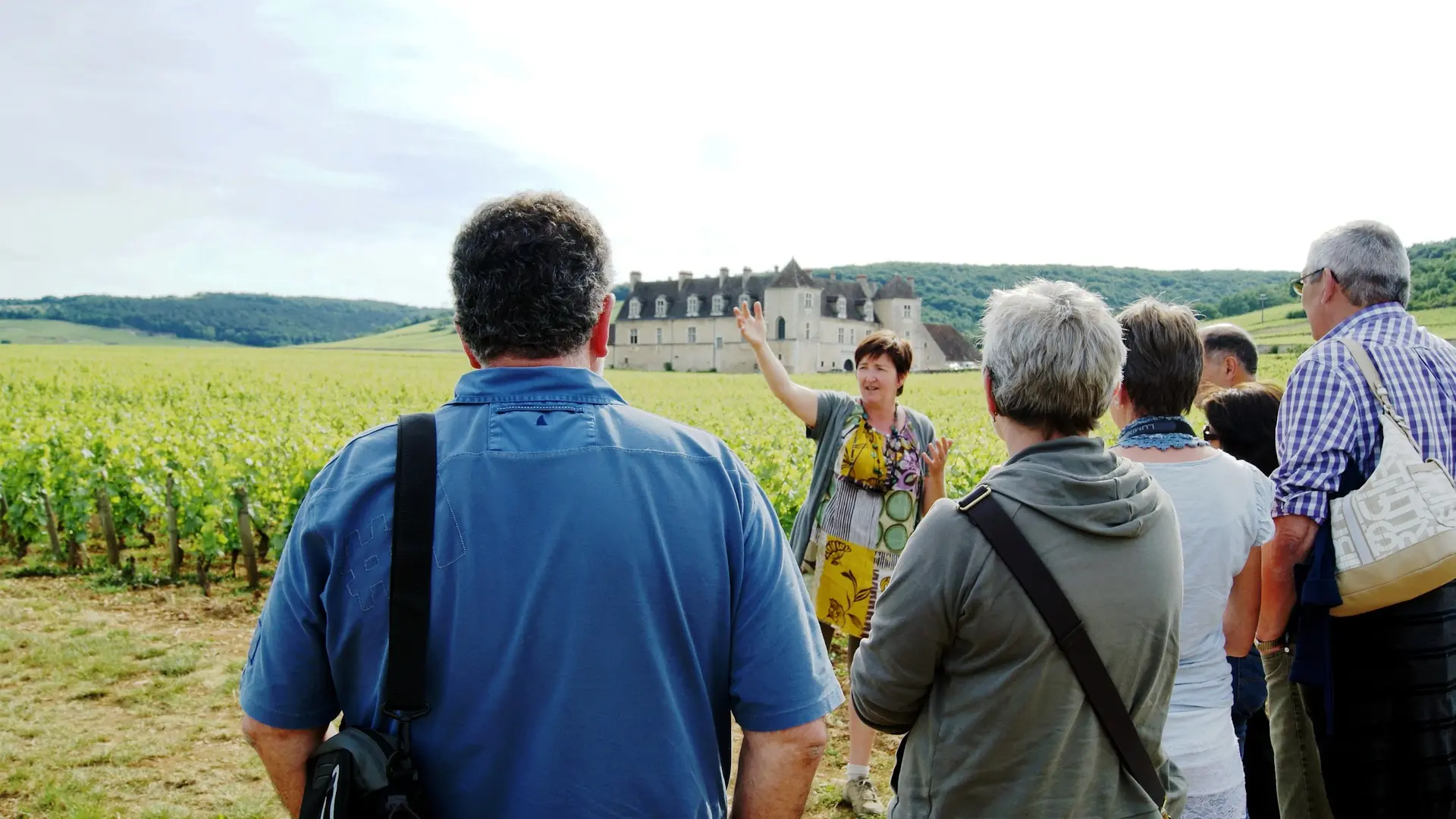 Balade dans le Clos de Vougeot