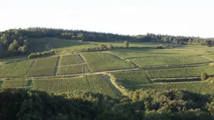 Domaine Chofflet-Valdenaire