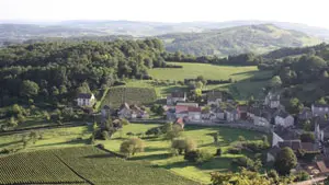 Domaine Chofflet-Valdenaire