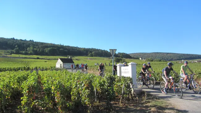 activite-groupe-bourgogne-balade-vignoble-degustation-gevrey-chambertin-grand-cru