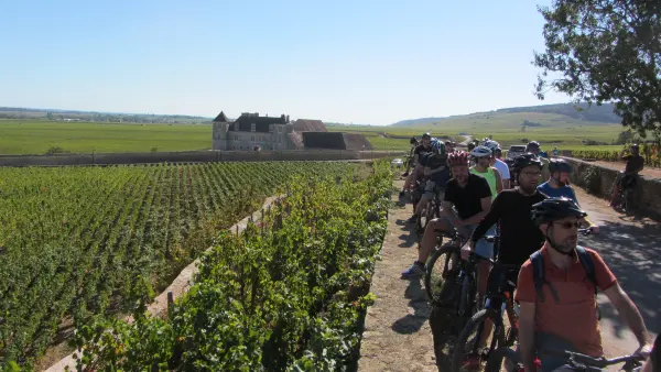 activite-groupe-bourgogne-balade-vignoble-degustation-velovitamine-2