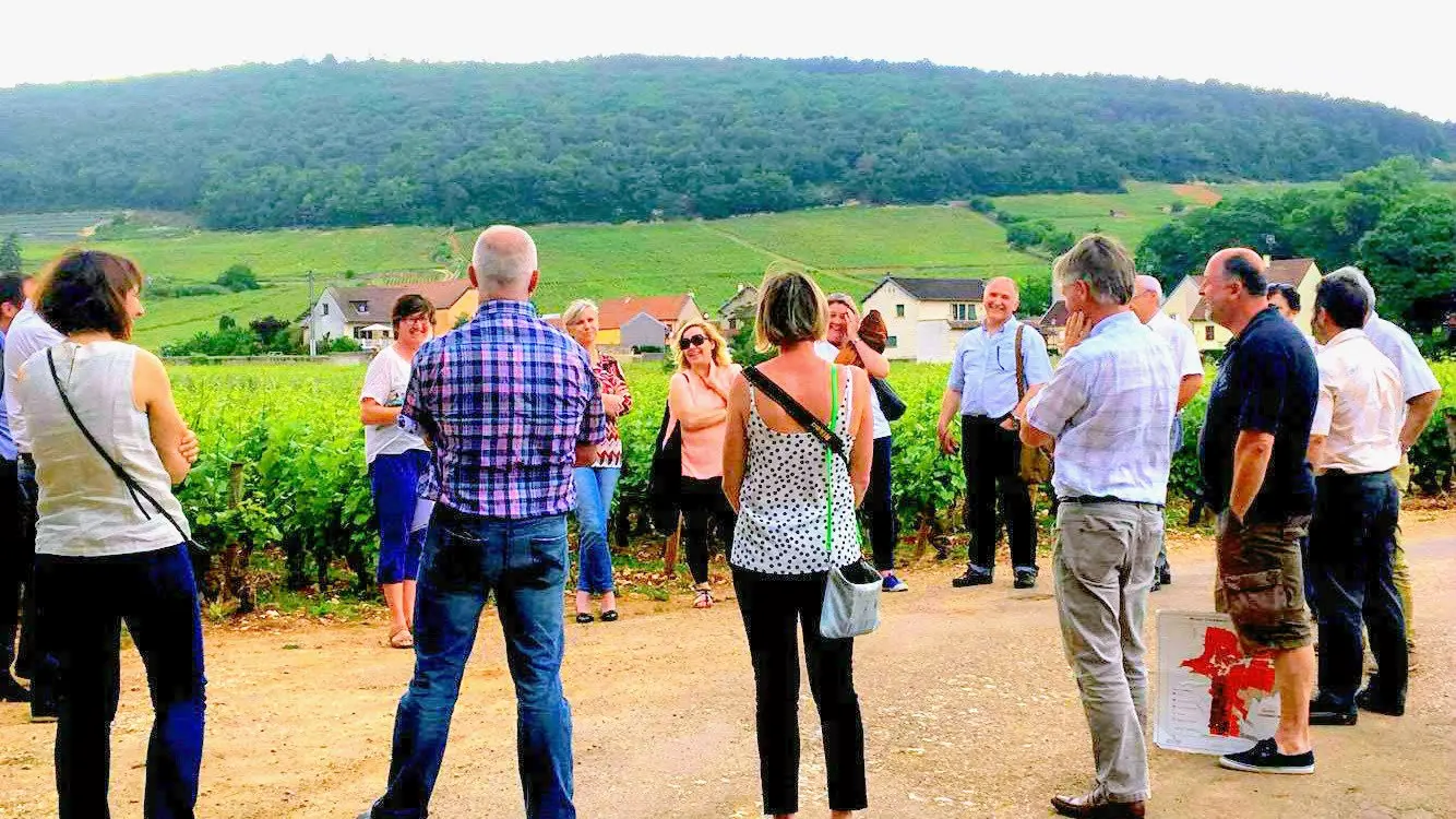 balade- dans -les- climats- de- Gevrey-Chambertin (1)