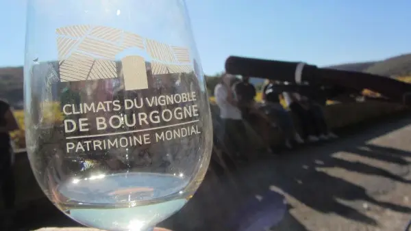 balade-oeno-grand-cru-activite-velo-degustation-vin-velovitamine-2018