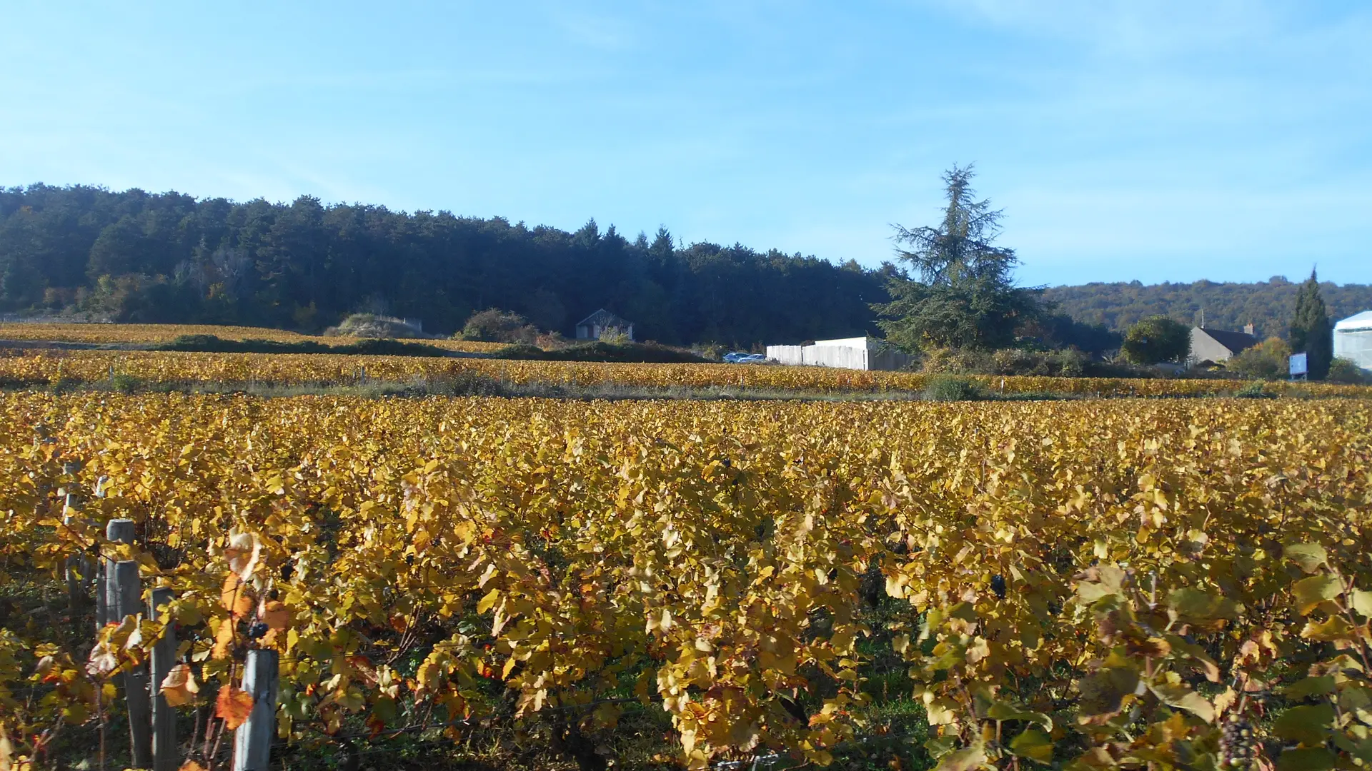 Rando VTT cote-de-nuits