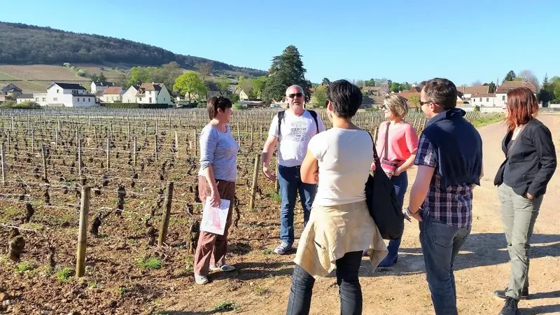 balade à la découverte des terroirs