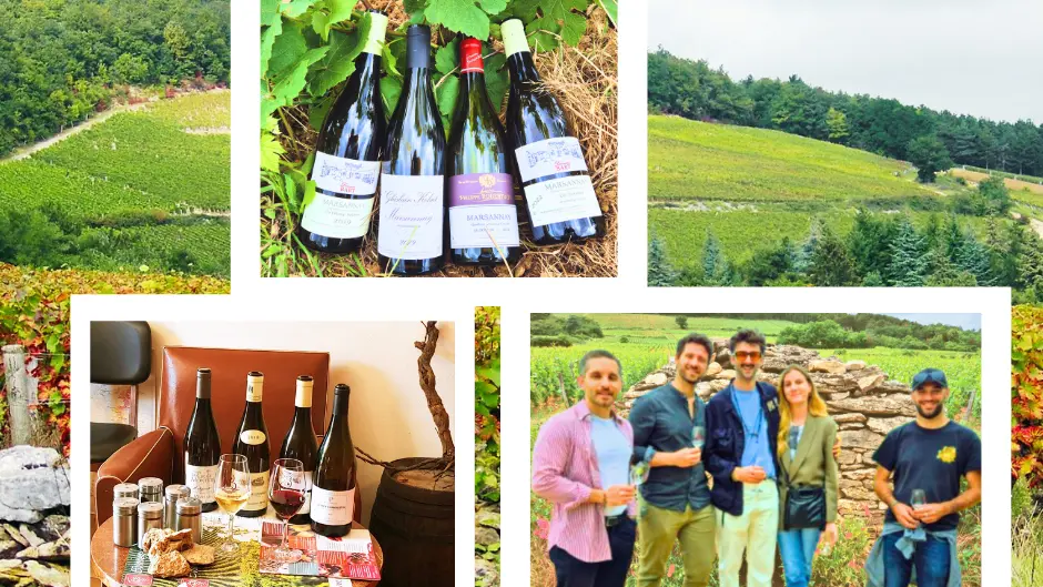 balade-guidée-et-dégustation