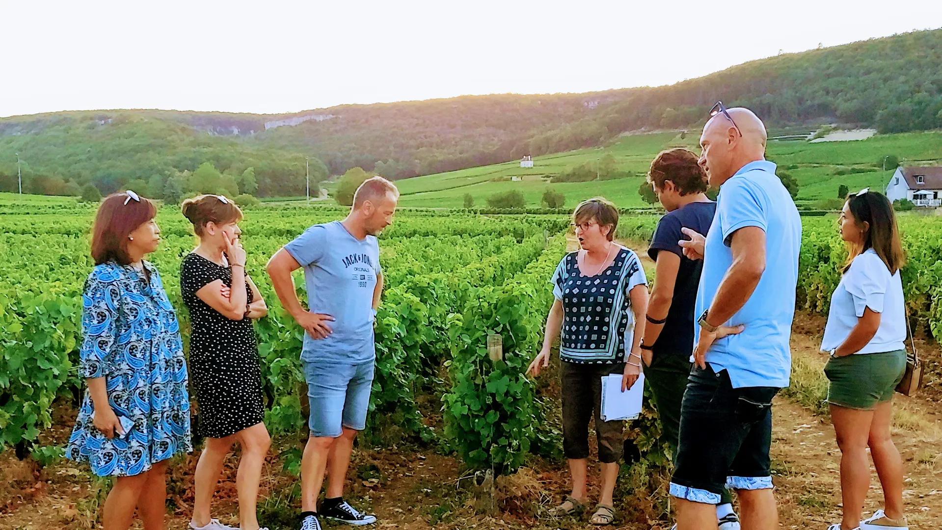 balade-dans -les- vignes