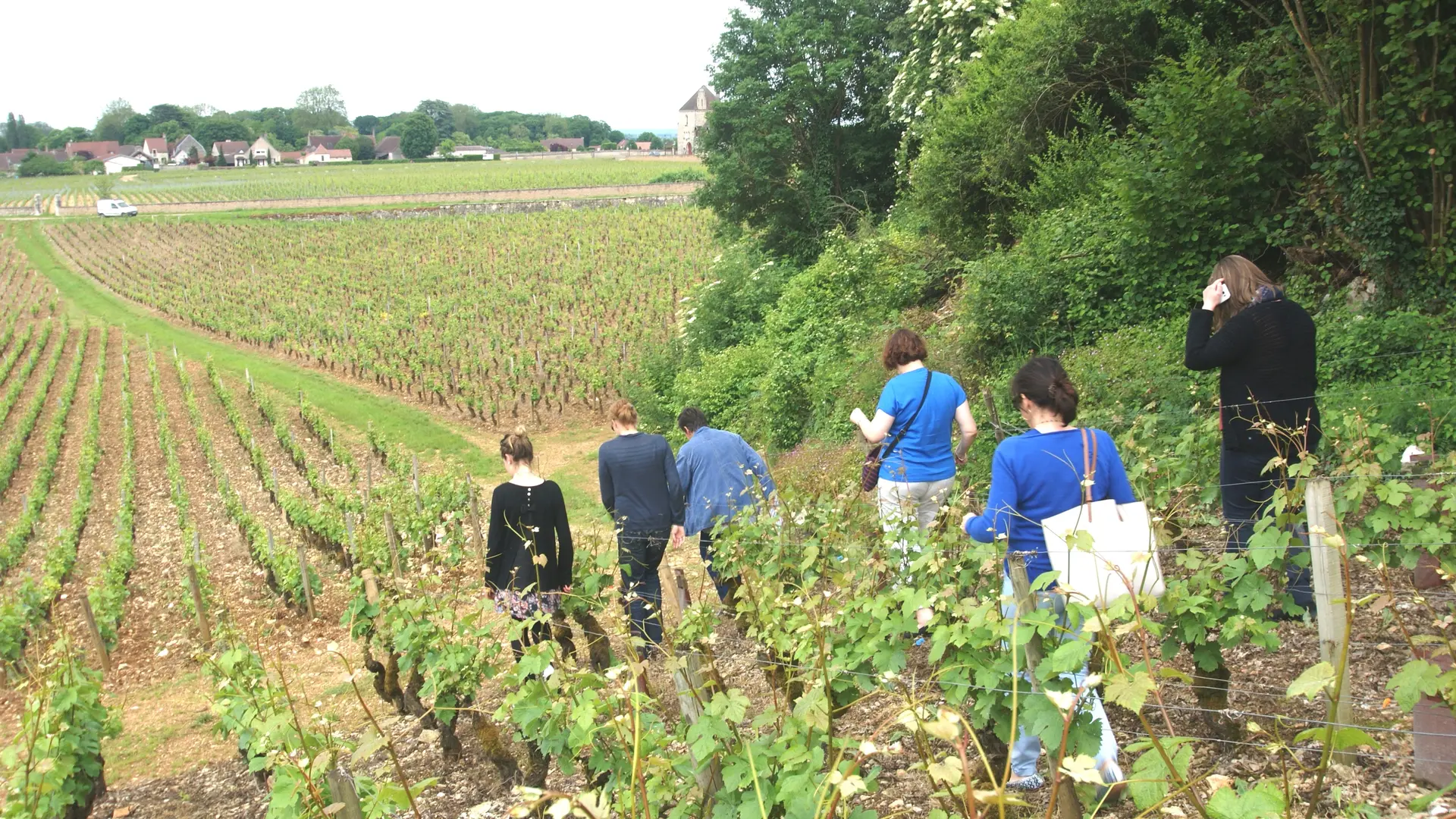 Balade dans les 1er crus de Vougeot