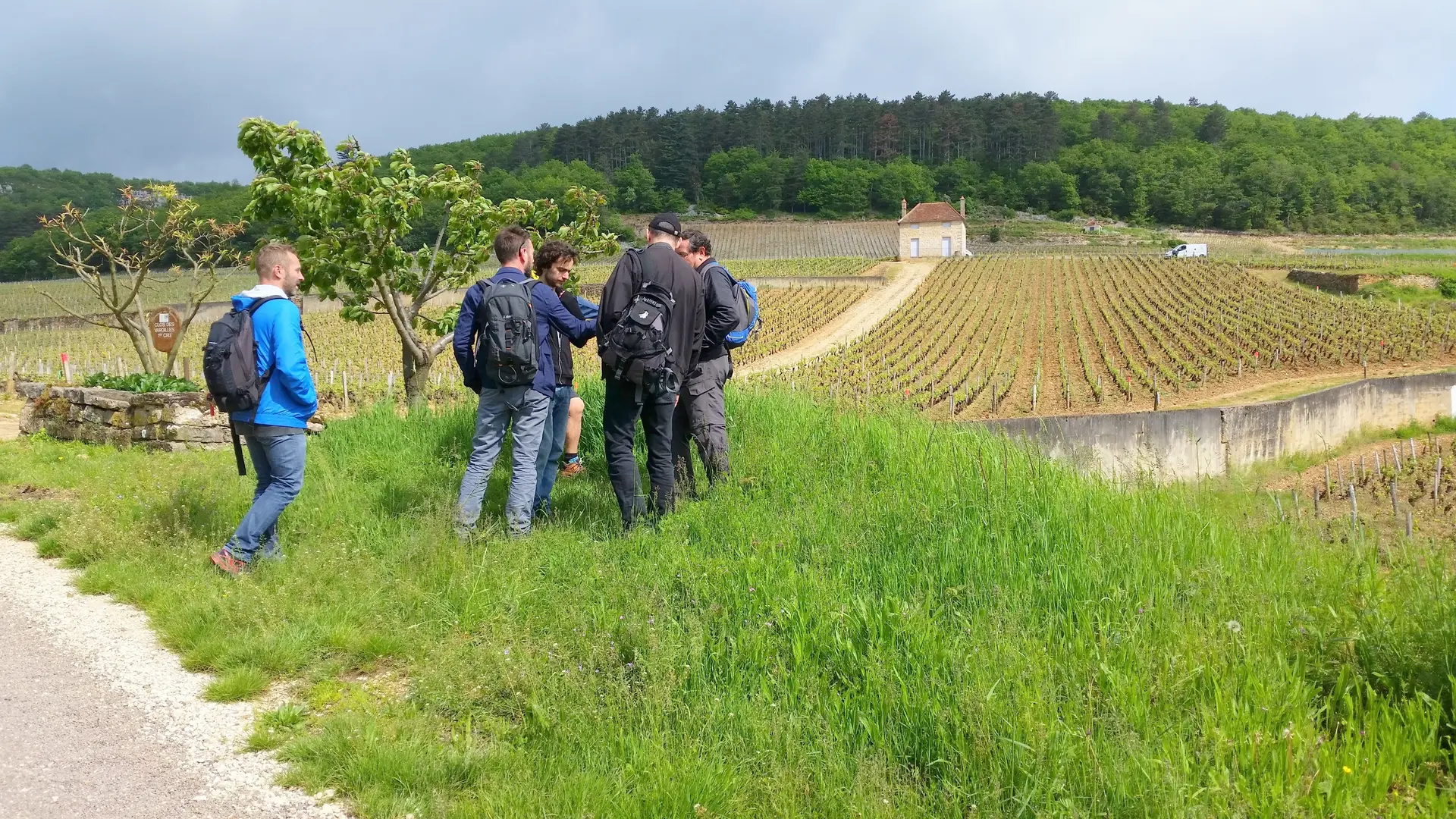 balade dans les vignes