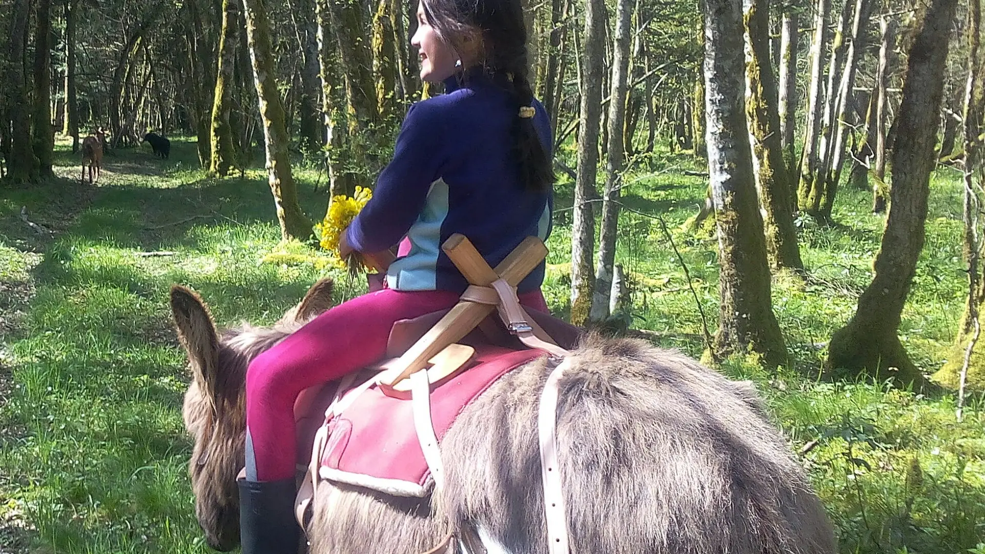 Petite balade avec Mirabelle