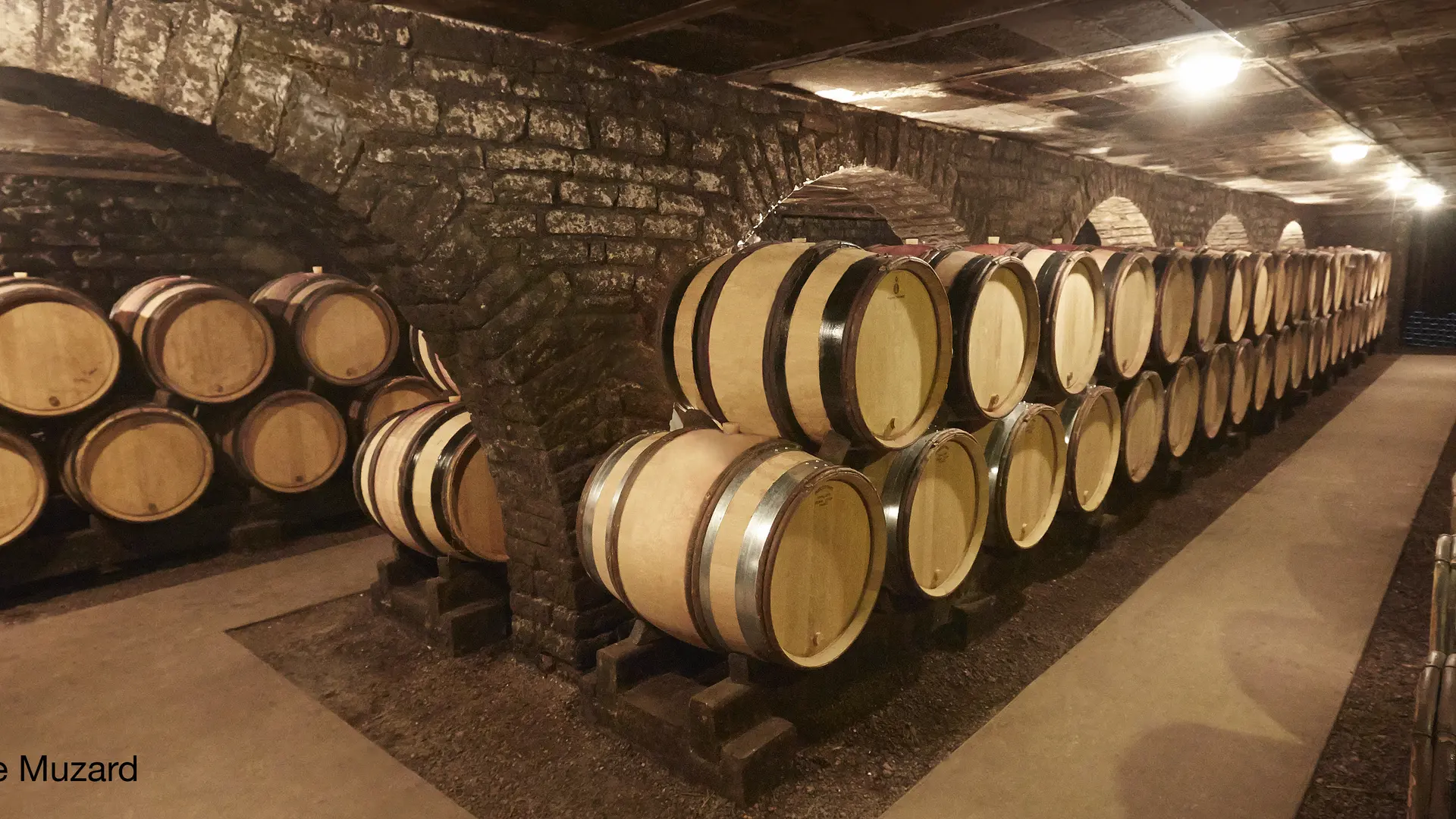 Cave Domaine Besancenot