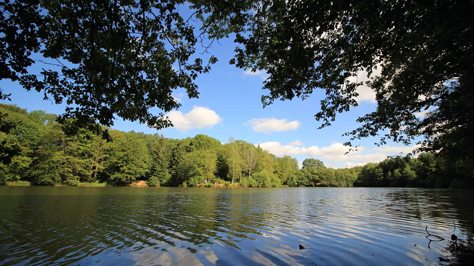 c4c054b0b810d44f667a033ab05bb818-DPP-00077-1600x900