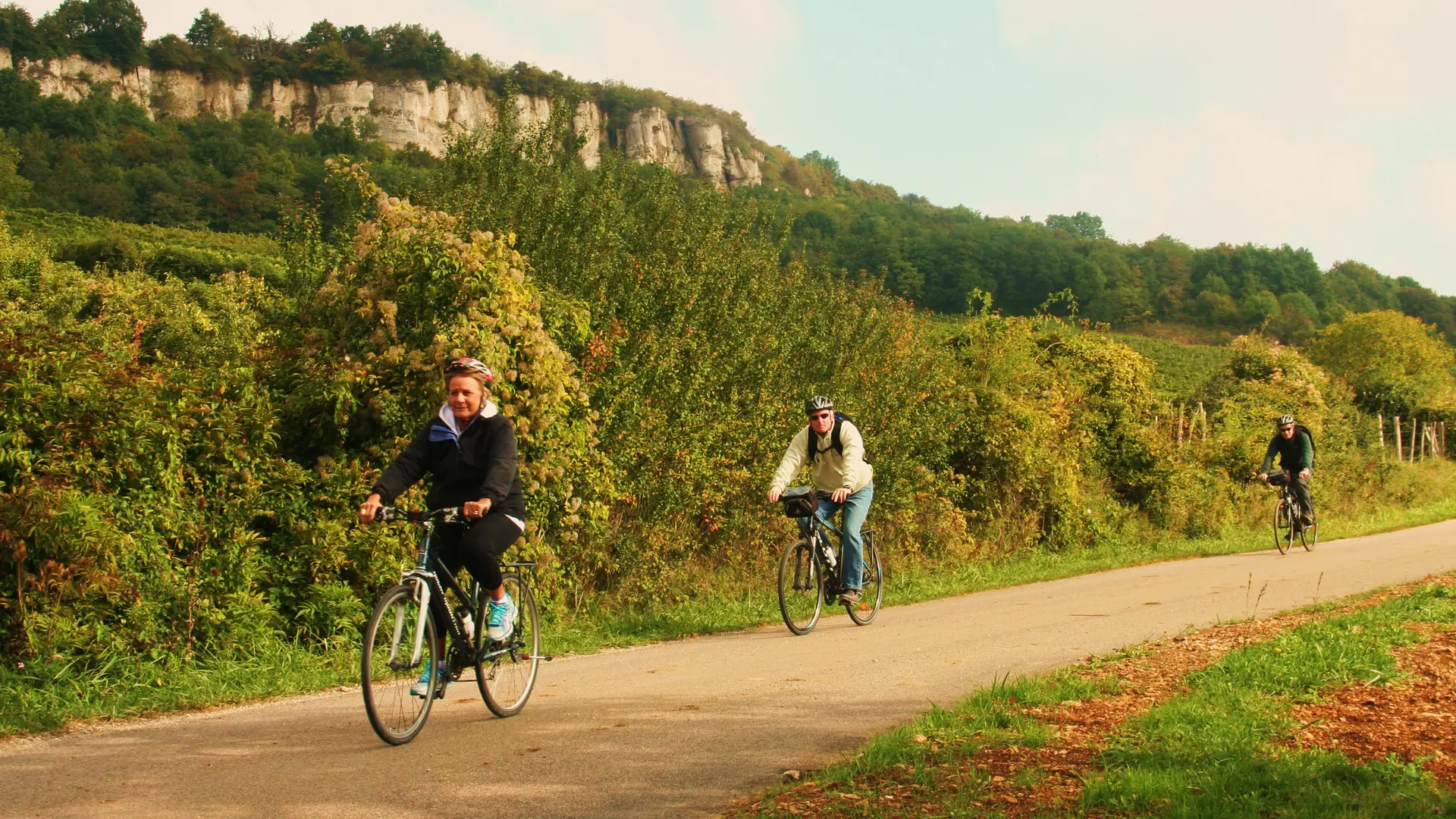 Bike and wine tour