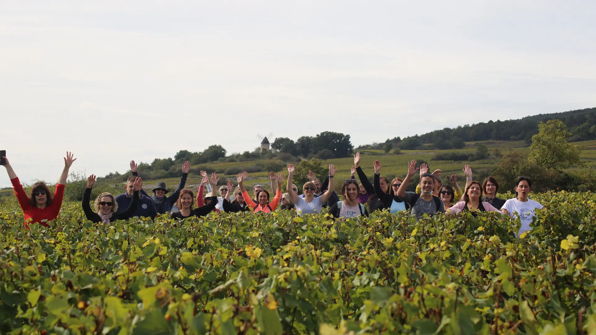 groupe-vigneS