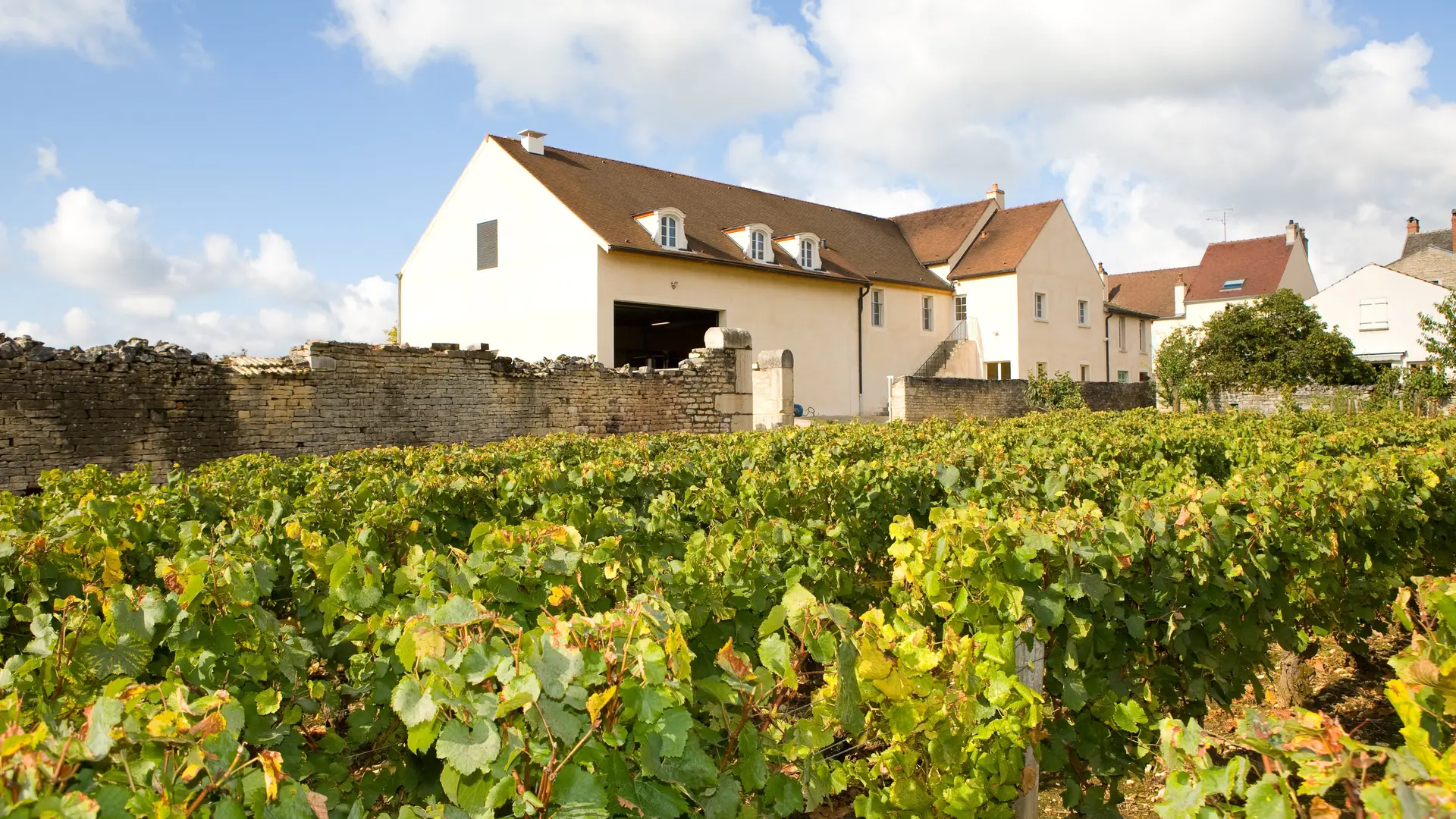 Cave Domaine Boyer-Martenot