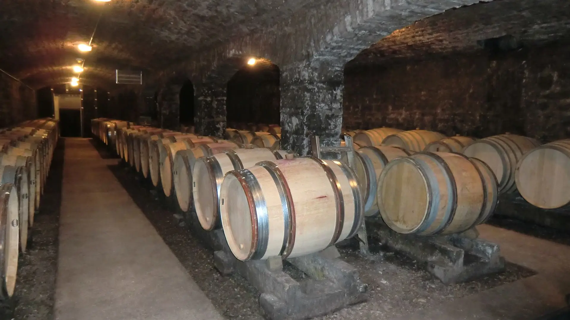 domaine-philippe-gavignet-cave-4
