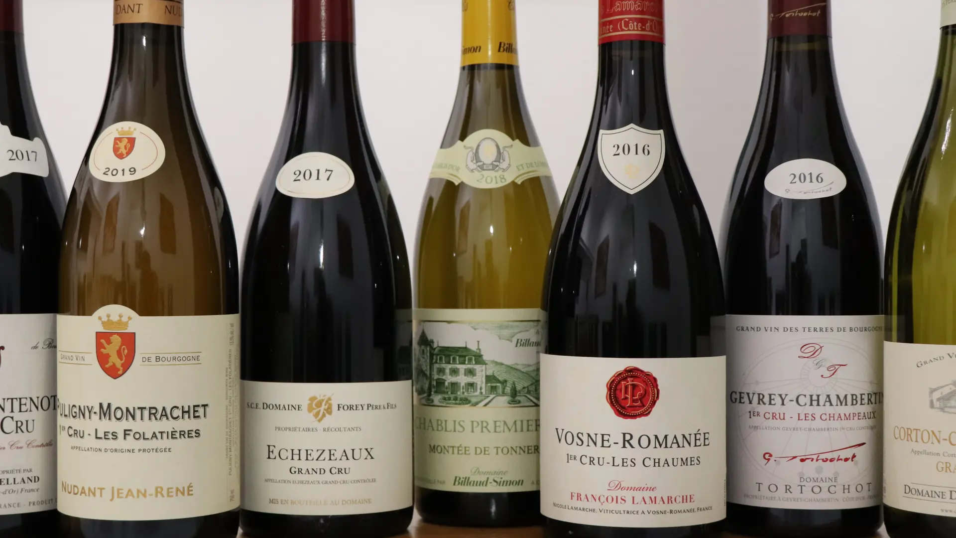 degustation-sensation-vin