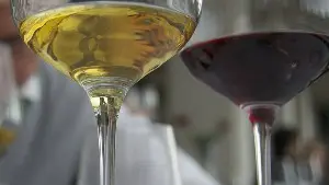 degustation