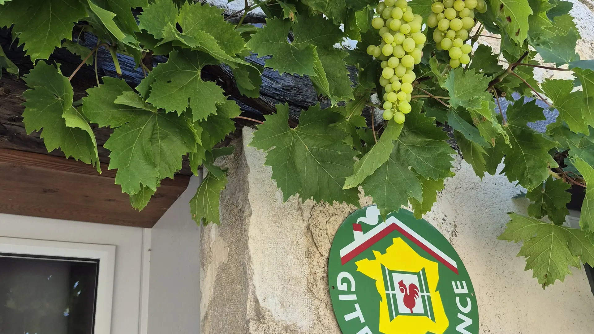 entrée de la laiterie avec la treille