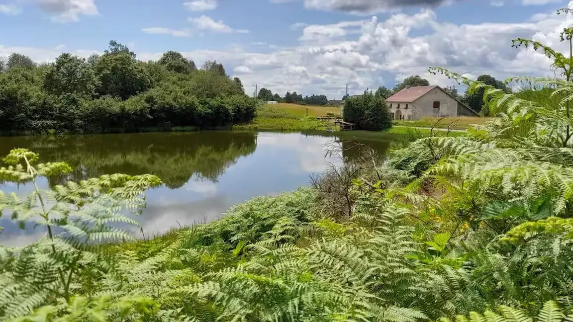 environnement-les-conchottes