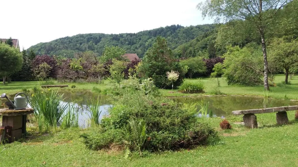 environnement les capucins
