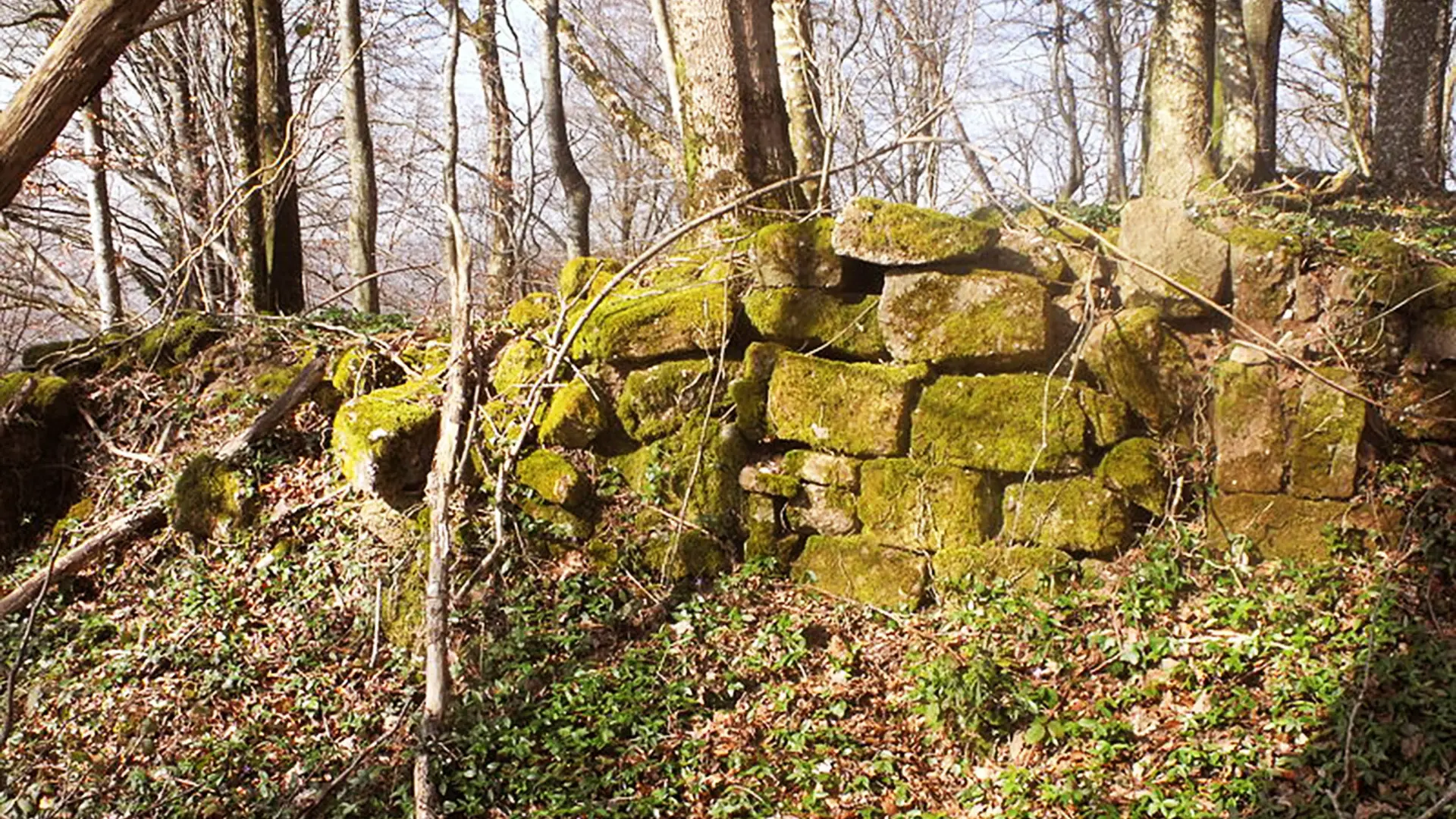 Ruines du Château d'Etobon