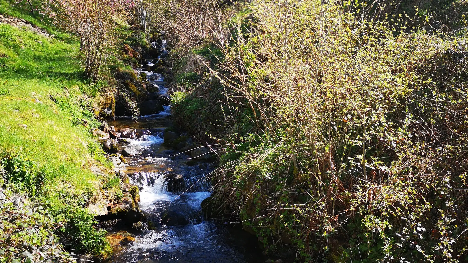 Rivière dans le jardin La maison Eugénie