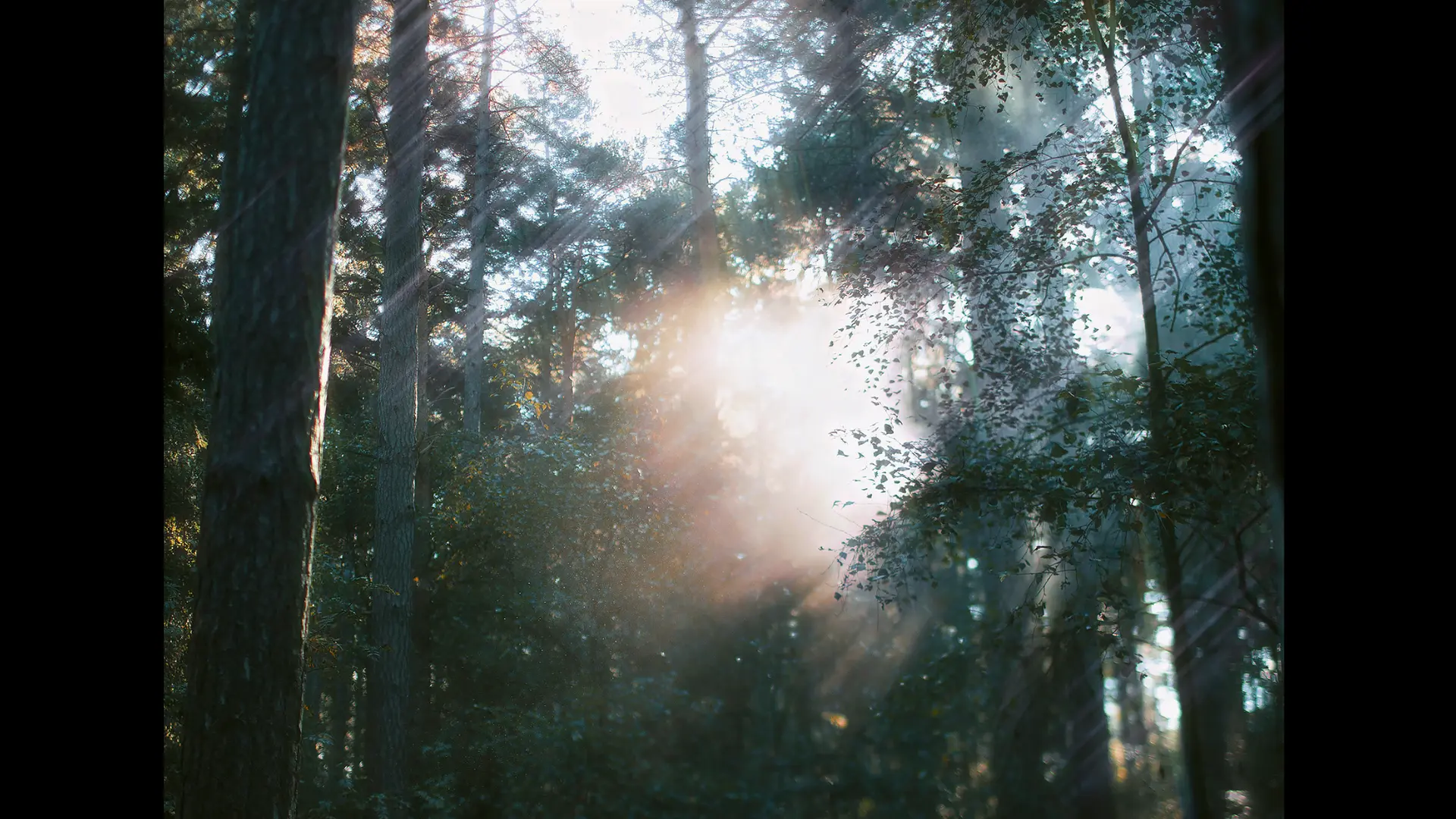 Alexandra Sophie- histoire en 3 chapitres