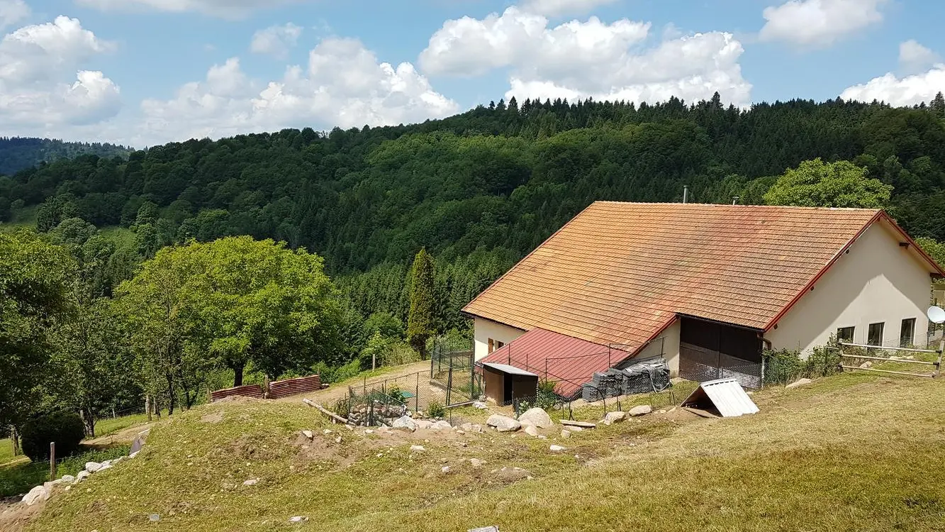 La Ferme de Là-Haut_2