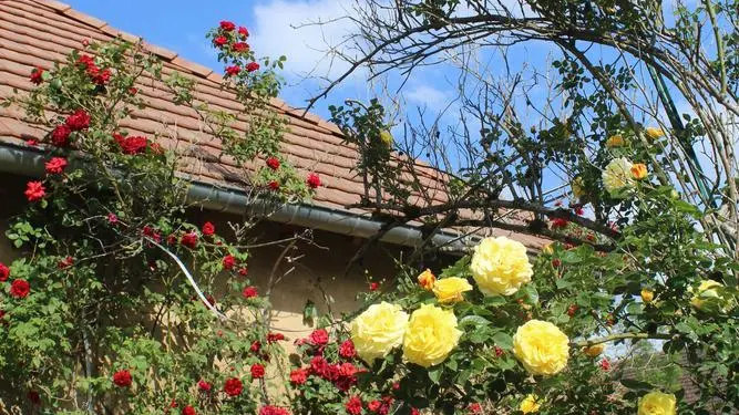 Angèle & Auguste, Maison d'hôtes_43