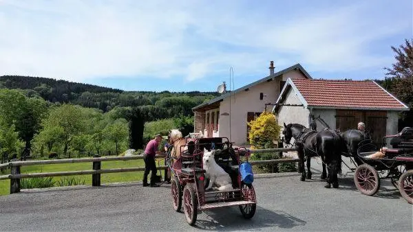 Gîte chez Diabolo_37