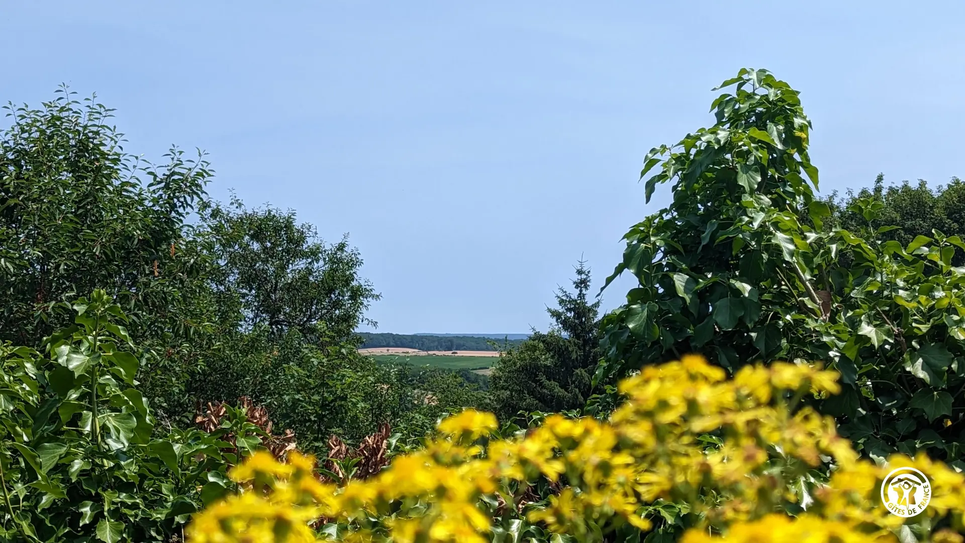 Gîte Jacques de Molay_22